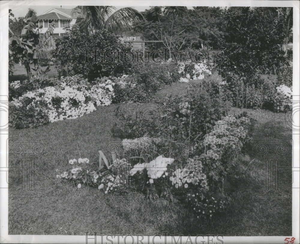 1951 Herb Show Sangster garden  varieties - Historic Images