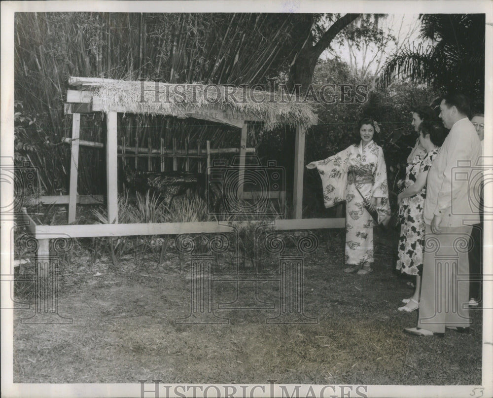 1949 Betty Nelson shows cypress root hound - Historic Images