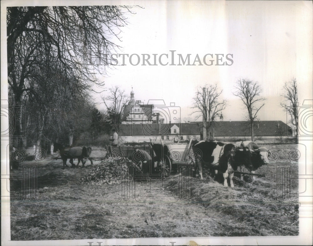 1946 German former Loads Grosenthim Russian - Historic Images