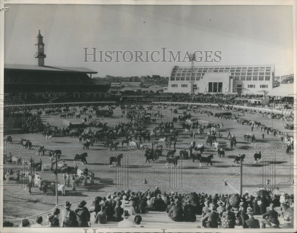 1938 Press Photo People horses auditorium- RSA33067 - Historic Images