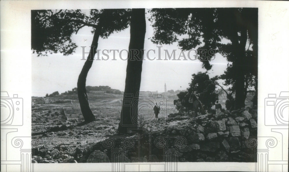 1972 Christmas Jesus Mount Olives Jerusalem-Historic Images