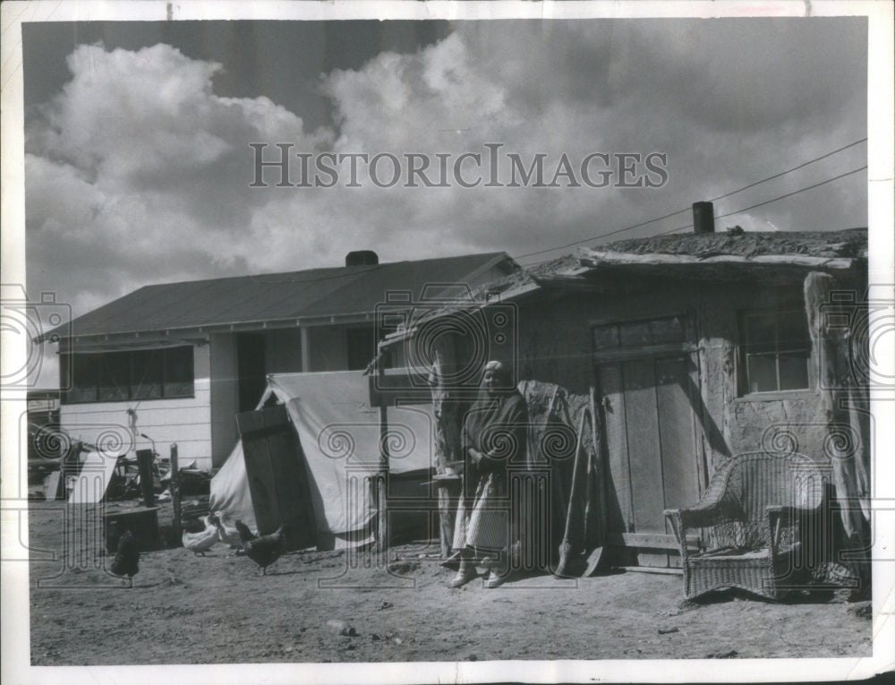 1955 Press Photo Ella WIlliams Towaoc CO Moving from Br- RSA33821 - Historic Images