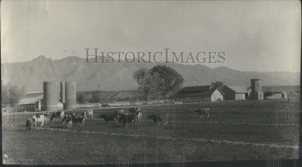 1933 Beautiful Dairy Farm In The Foothills - Historic Images