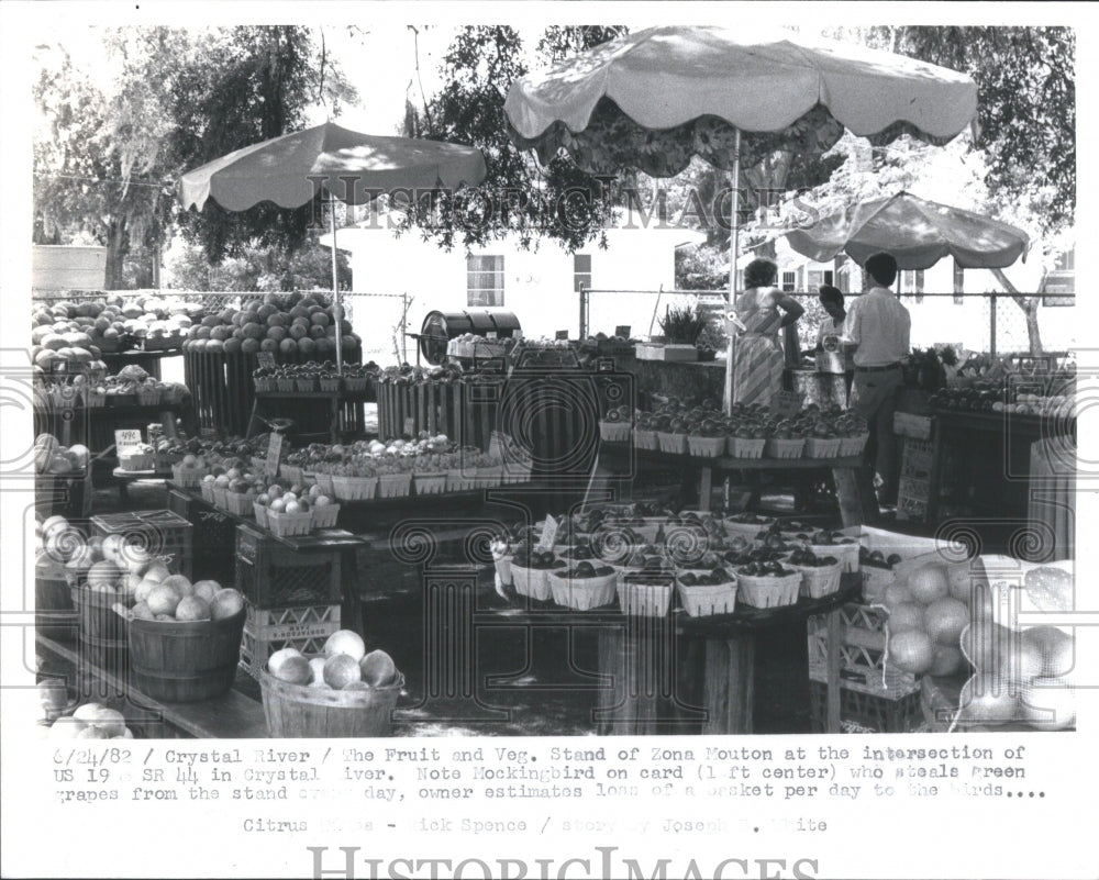 1982 Fruit Veg stand Zona Mouton crystal Iv - Historic Images