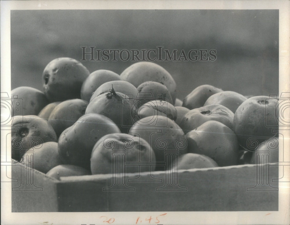 1977 Press Photo Fruit stands in West Pasco- RSA34637 - Historic Images