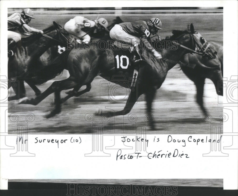 1982 Jockey Doug Copeland on Mr.Surveyor - Historic Images