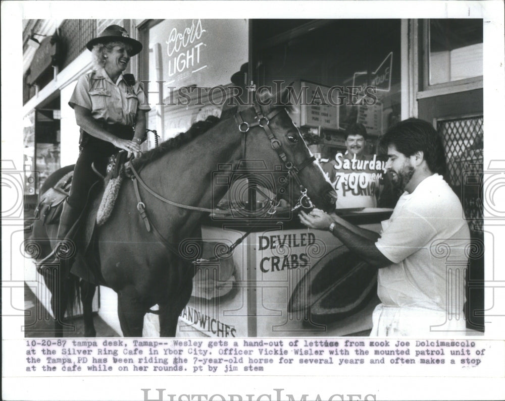 1987 Vicke Wisler, Wesley &amp; Joe Dolcimascol - Historic Images