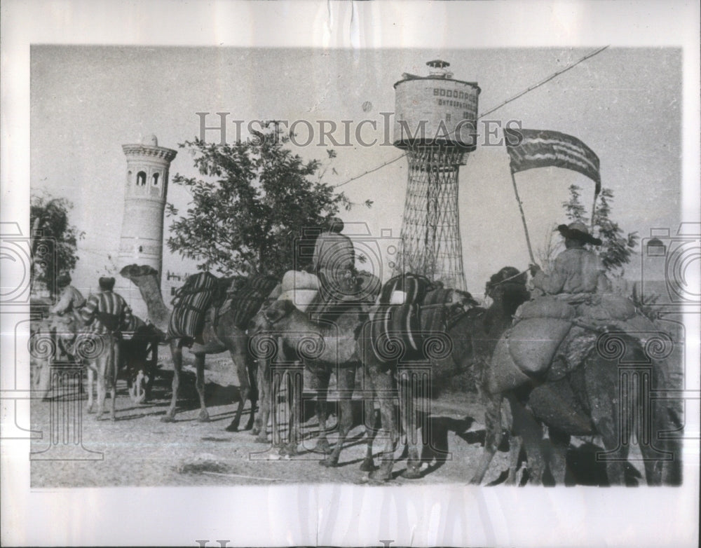 1945 Collective Farm Caravan Camels Grain R - Historic Images