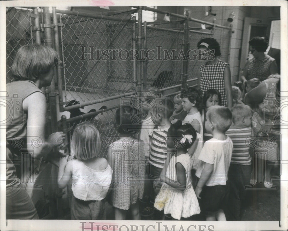 1967 Press Photo Children Visit SPCA Shelter Largo- RSA35645 - Historic Images
