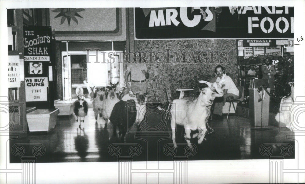 1979 Animals Enter Sunshine Mall Petting Zo - Historic Images