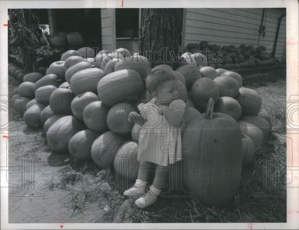 1970 Kristie Day St. Petersburg Pumpkin Pat-Historic Images