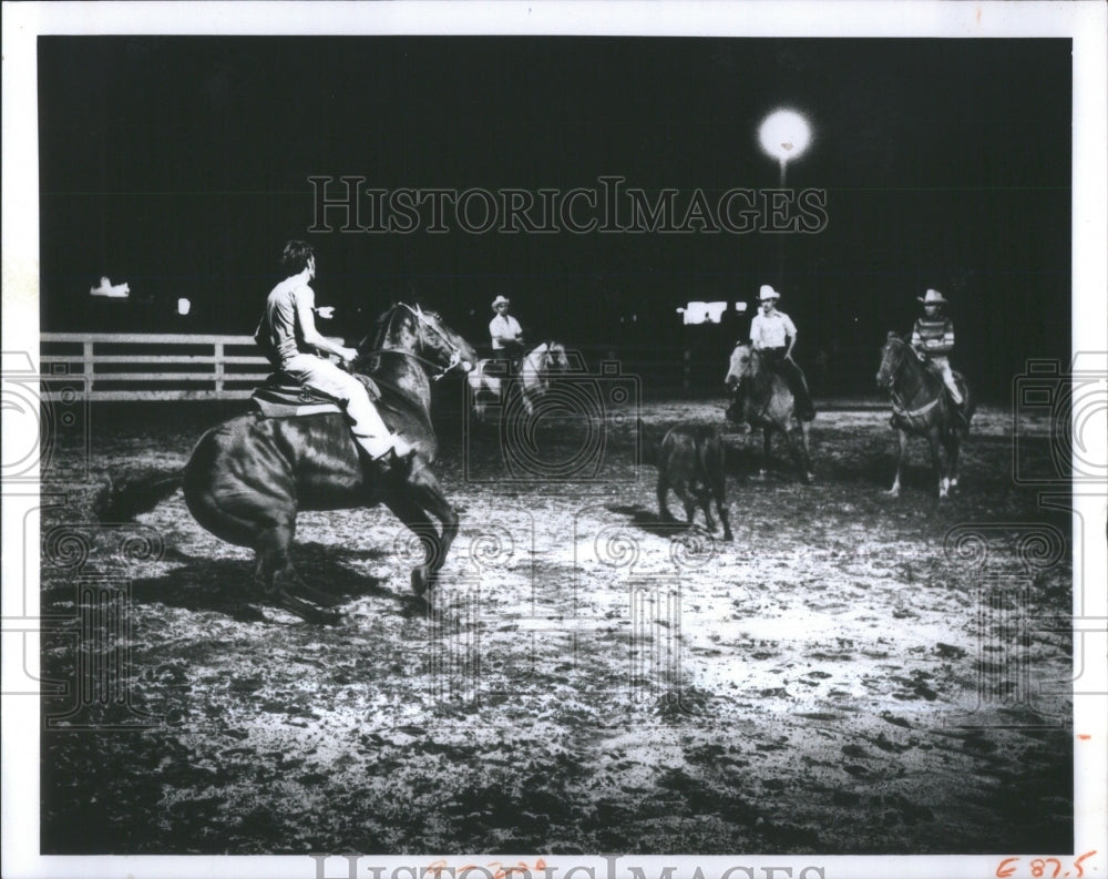 1974 Ranch Workers Wrangling Calf At Night-Historic Images