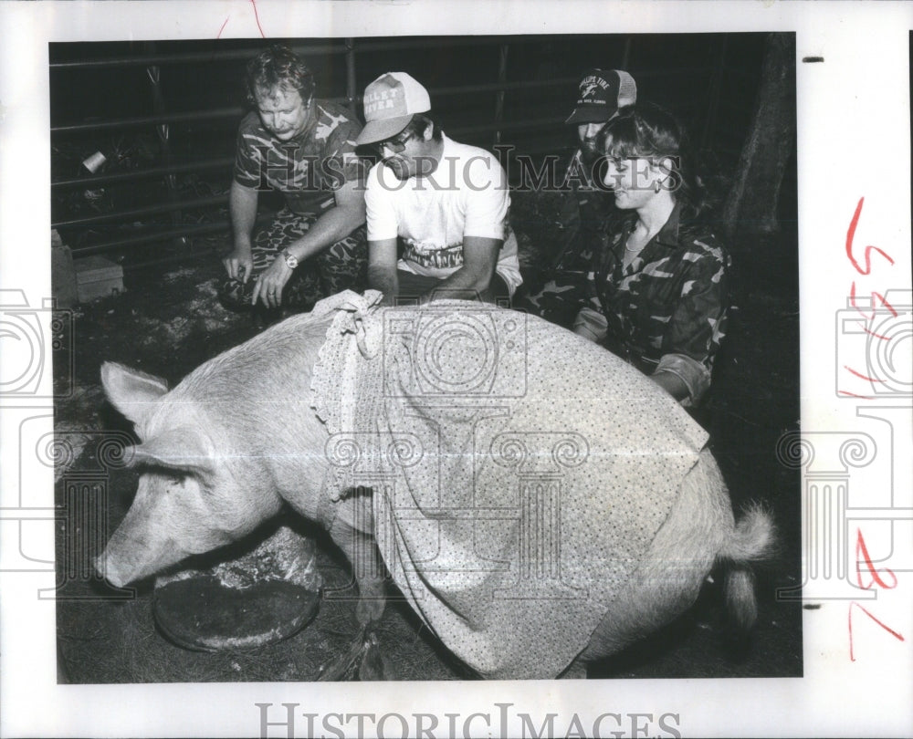 1983 Folks visiting with &quot;Miss Piggy.&quot; - Historic Images