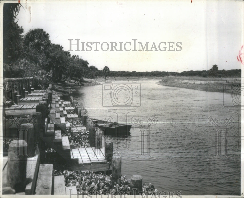 1956, Myakka River State Park Board Stream- RSA36579 - Historic Images