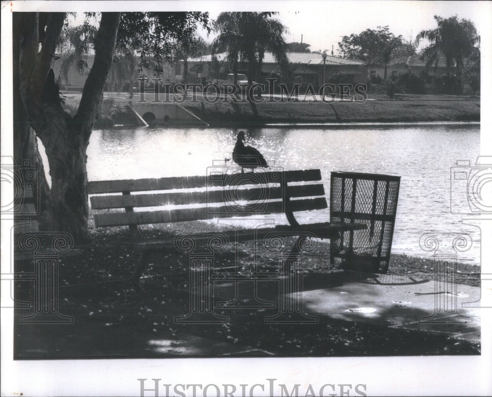 1974 Press Photo Mini-park in St. Petersburg, Florida- RSA36631 - Historic Images