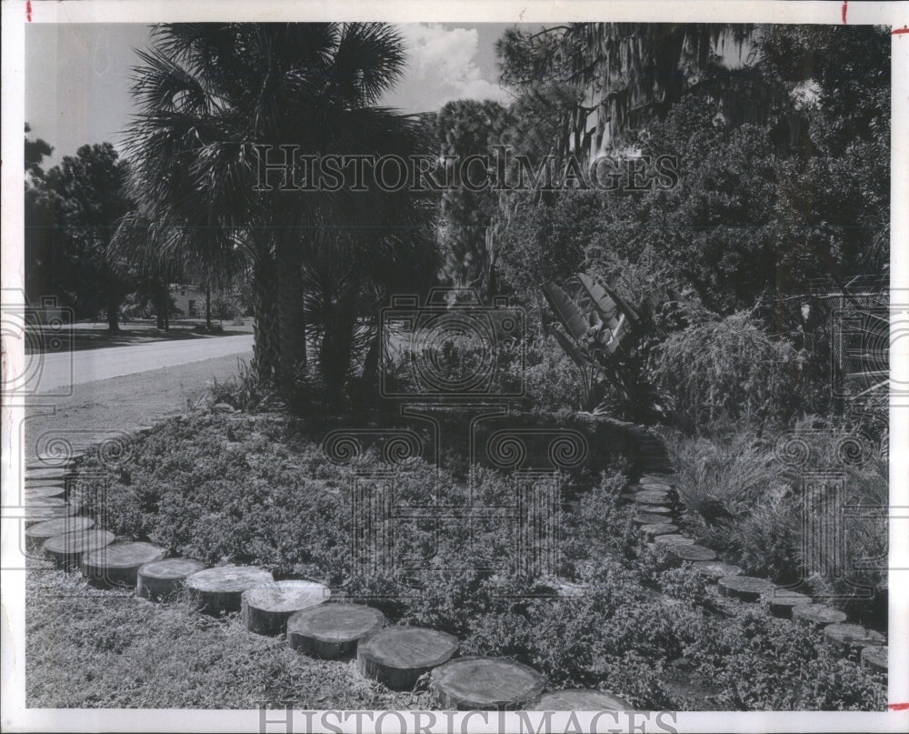 1968 Garden Club Nature Trail beautificatio - Historic Images