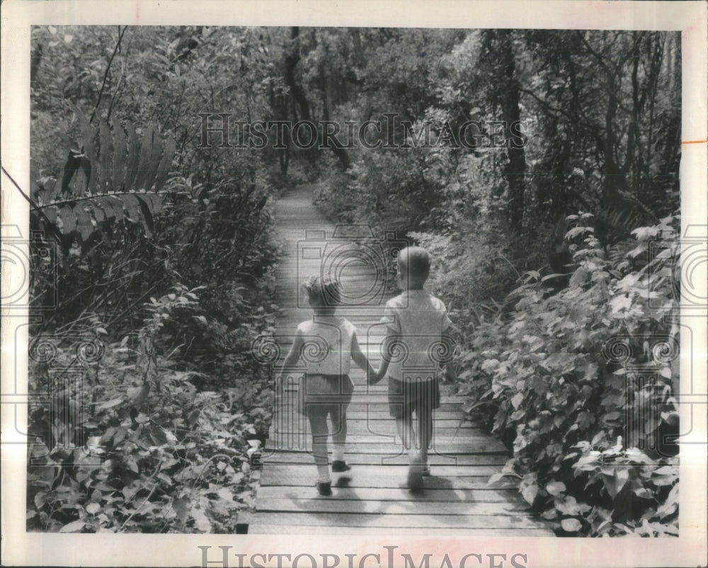 1967 The Boyd Hill Nature Trail in St. Pete-Historic Images