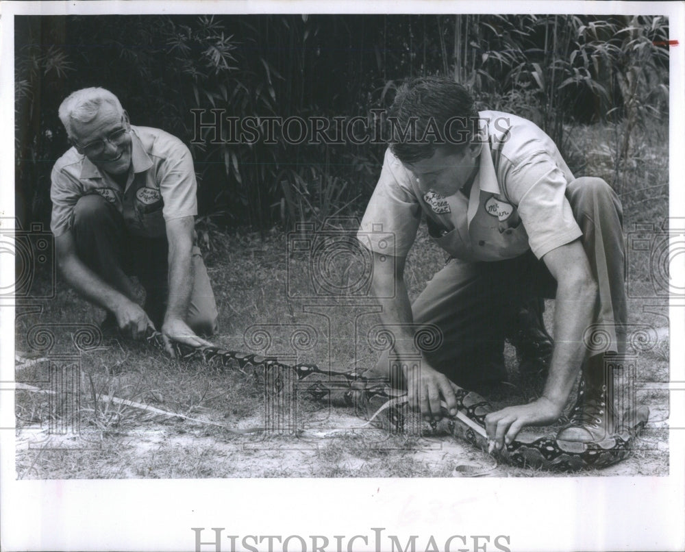 1965 Press Photo Lake Maggiore Zoo Messner Trafford Boa- RSA36683 - Historic Images