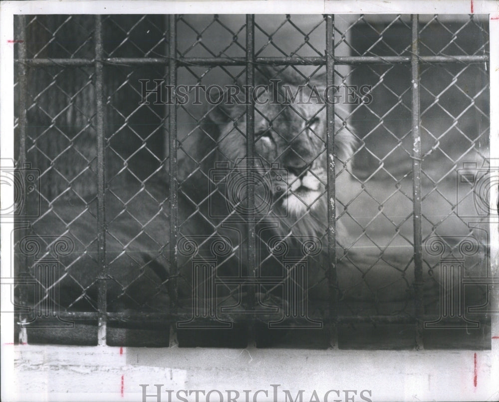 1988 St Petersburg Nature Trail Park Tampa - Historic Images