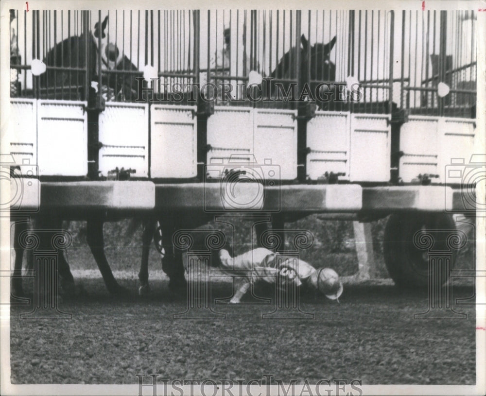 1969 Animal transport Zoo trucks horses - Historic Images