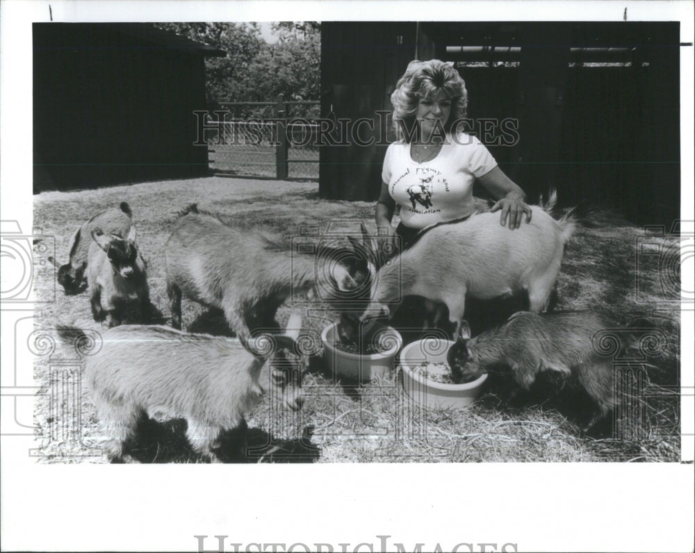 1988 Kathy Murray Pygmy Goats - Historic Images