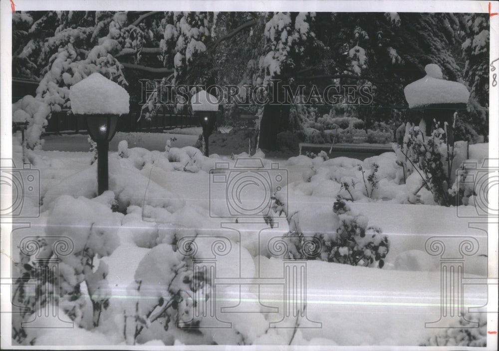 1966 Mateyka garden contrast Snowstorm top-Historic Images