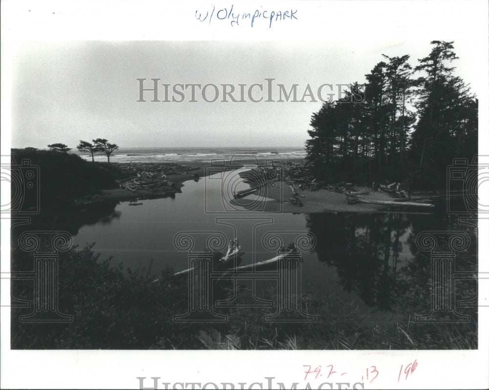 1986 Olympic National Park Washington - Historic Images