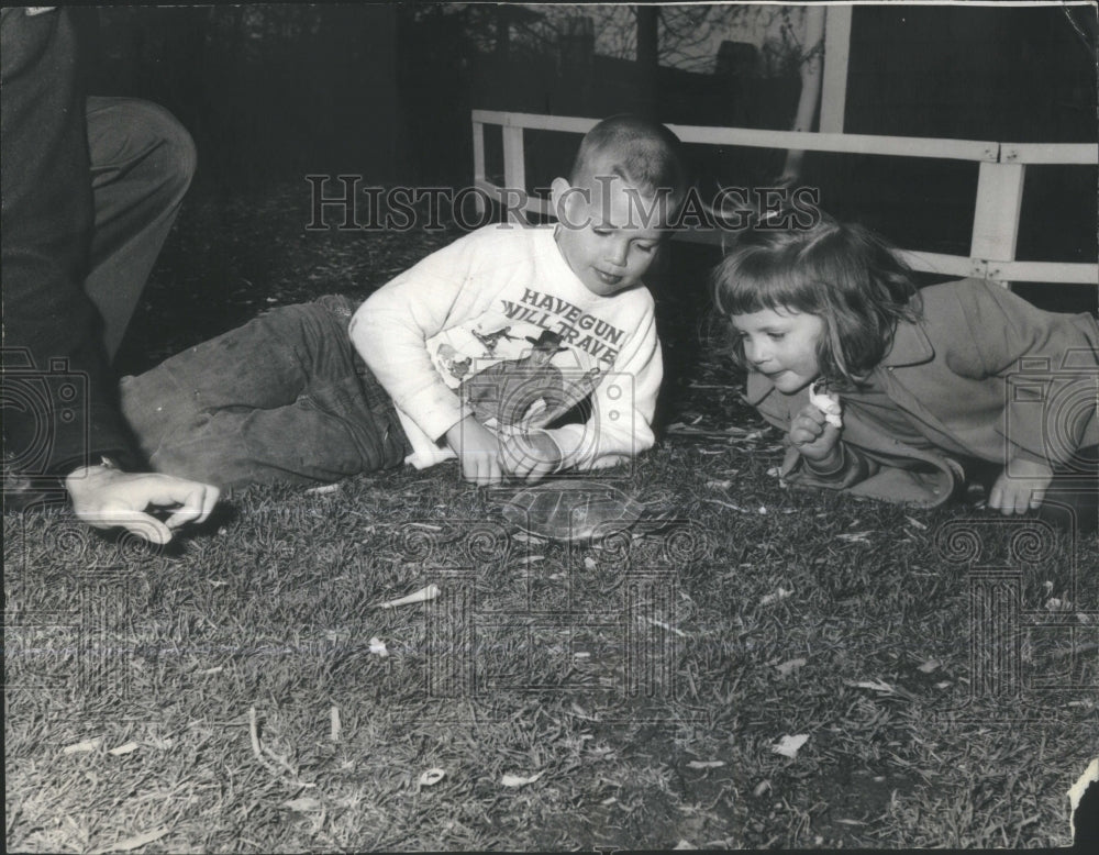 1965 Press Photo Spring Chicago Area Forest Preserves- RSA39413 - Historic Images