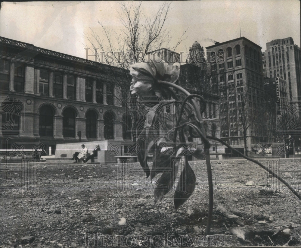 1967 Spring Chicago Artificial Red Flower - Historic Images