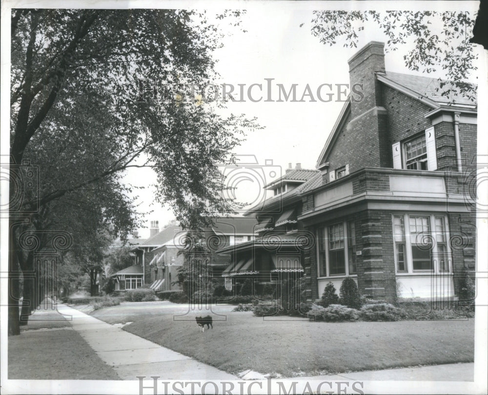 1955 South Shore-Row-Houses-Constance - Historic Images