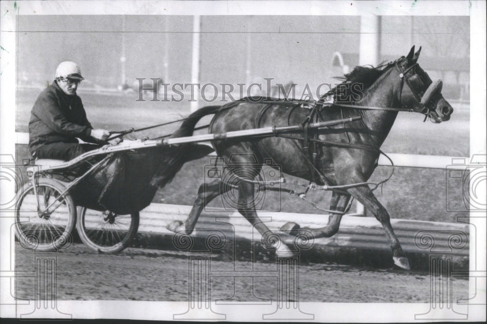 1969 Trainer Al Locascio Pacer Diane Knight - Historic Images