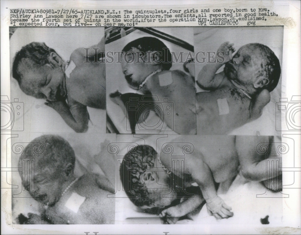 1965 Quintuplets Mrs Shirley Ann Lawson - Historic Images