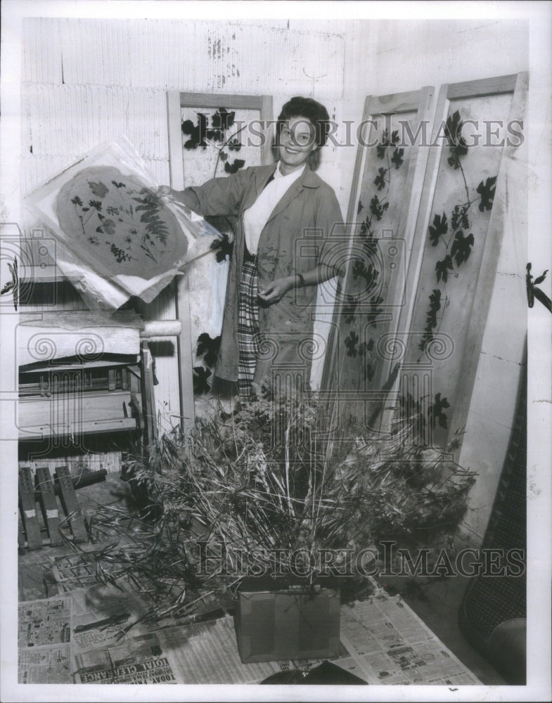 1960, Mrs Lane Tray Edge Large Stock Women Lake Forest Garden Club - Historic Images