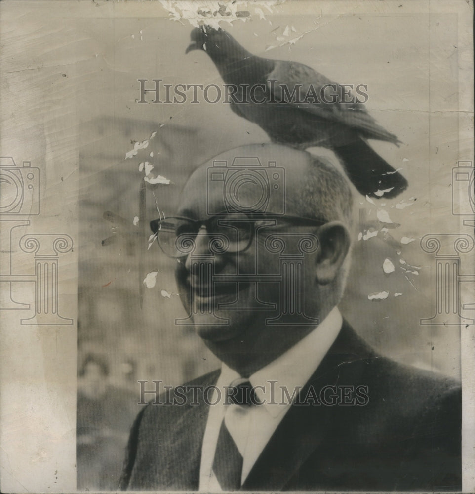 1963 Joseph Fink bird control expert. - Historic Images