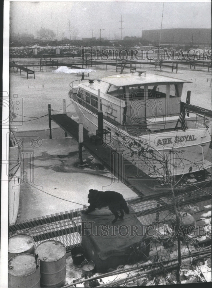 1978 Don Dora Anderson Dog House Boat Ark Royal - Historic Images