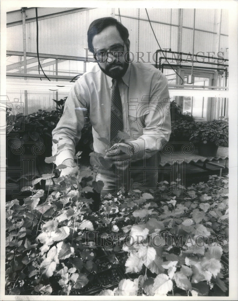 1985 Tom Antonio Gardener Agriculturist Growing Plants From Seeds - Historic Images