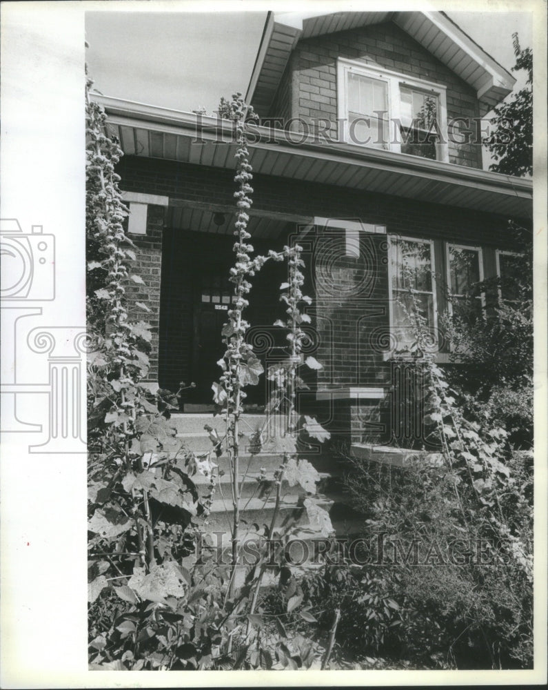 1984 Portage Park Residents Garbage Houses Housing Area Illinois - Historic Images