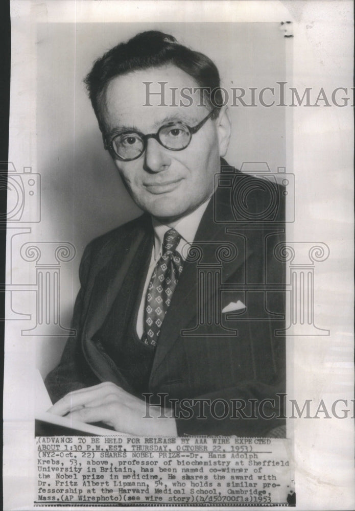 1953 Hans Adolph Krebs professor biochemistry Sheffield University - Historic Images