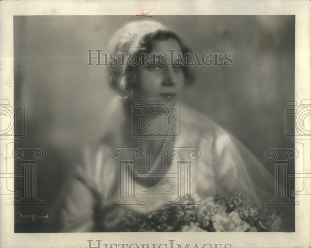 1930 Mrs. Bennett Botsford Harvey/Dorothy Wegener - Historic Images
