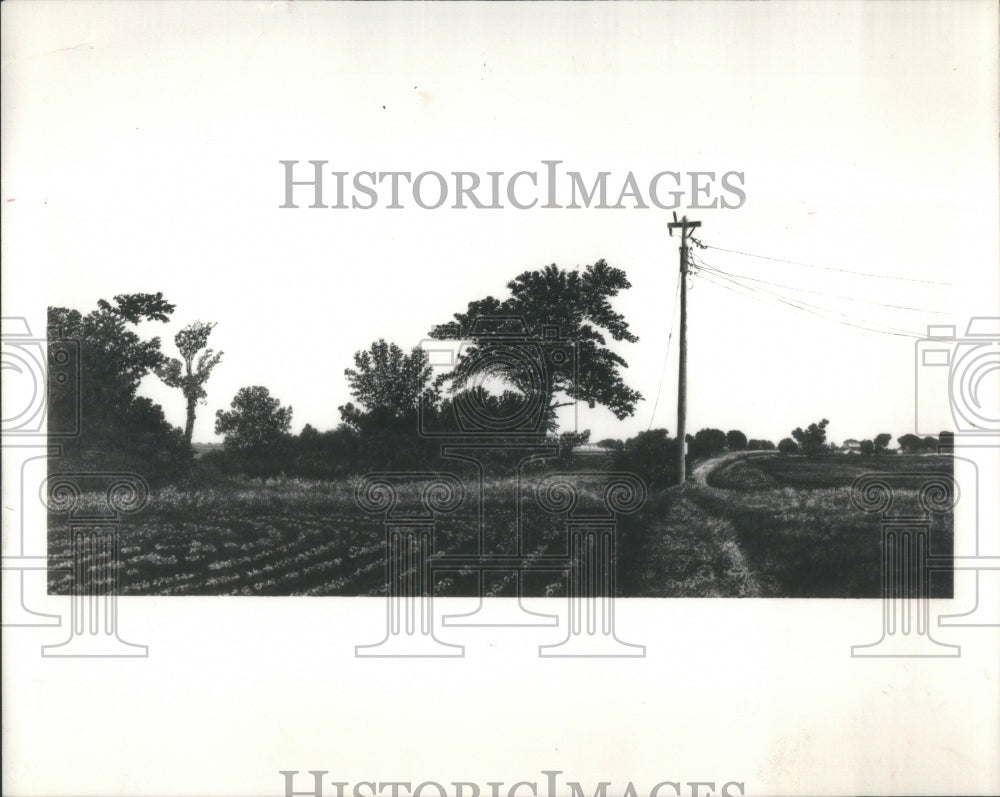 1986, Illinois Countryside Painting Author Gregor- RSA78397 - Historic Images