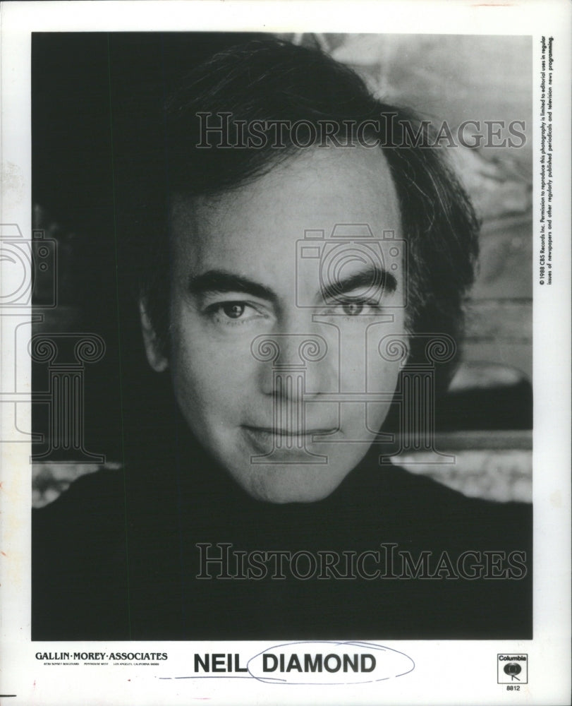 1991 Press Photo American singer songwriter million United States - Historic Images