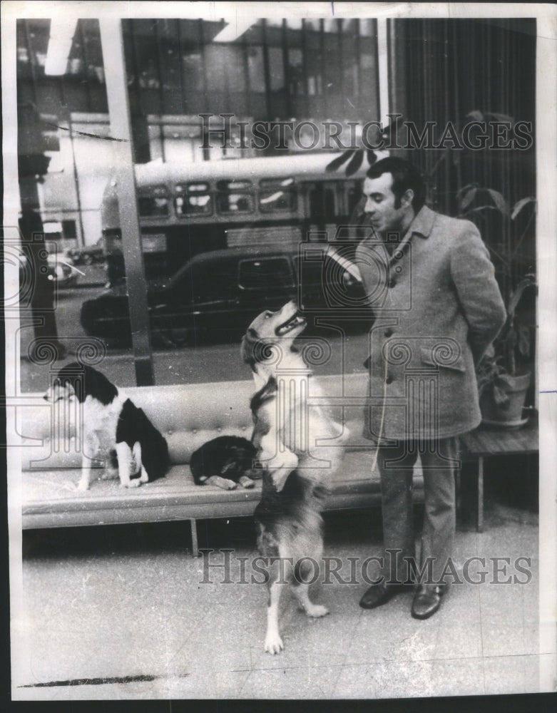 1972 Paul Galloway and his walking dog Gusto - Historic Images