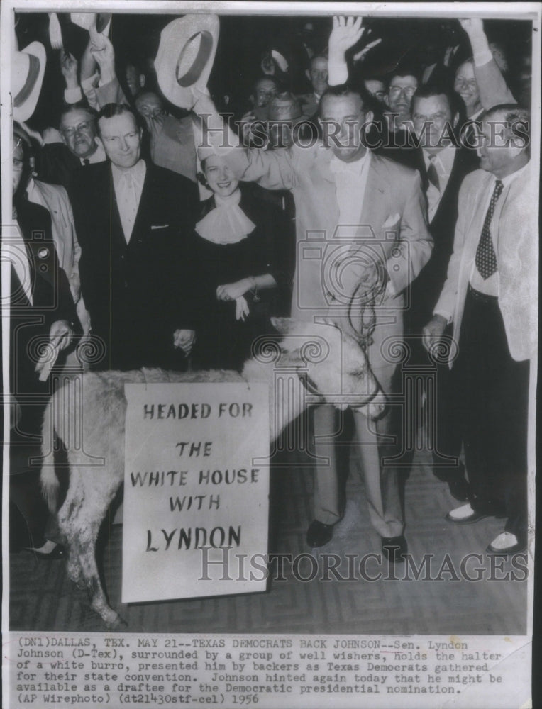 1956 Senator Lyndon Johnson Surround-Group Wellwishers-Hold Halter - Historic Images