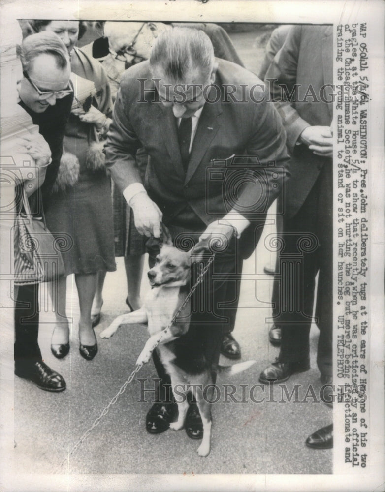 1964 John Deliberately tug Chicago Humane Society-Historic Images