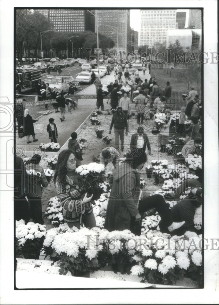 1979 Grant Park Papal Mass Altar Yellow White Chrysanthemums - Historic Images