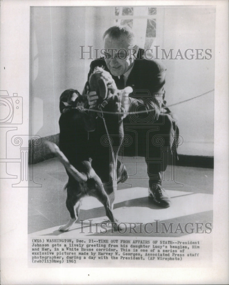 1963 President Johnson Playing With Daughters Beagles White House - Historic Images