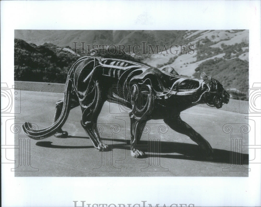 1990 Cougar, an 8-foot long bronze sculpture by John Jagger - Historic Images