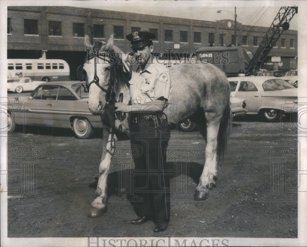 1961 Policeman Joseph Klein Captures Runaway Horse - Historic Images