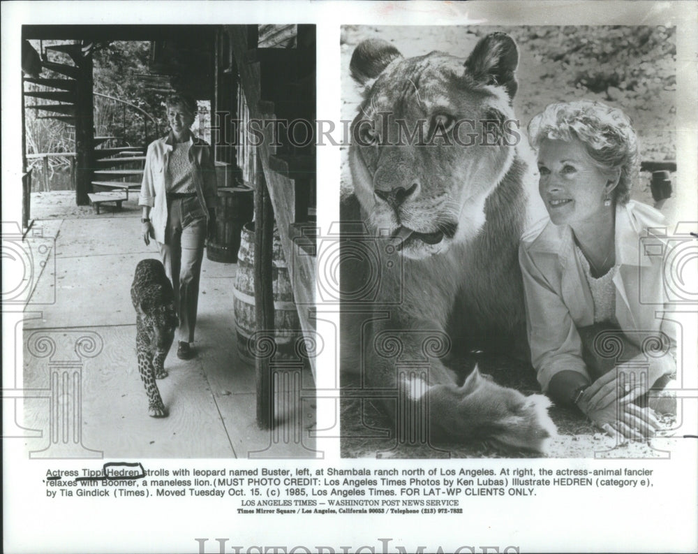 1985 Tippi Hedren - Historic Images