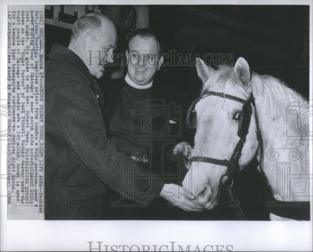 1966 Press Photo Bear John Hester Anglican Priest London Soho Section Pat Horse - Historic Images